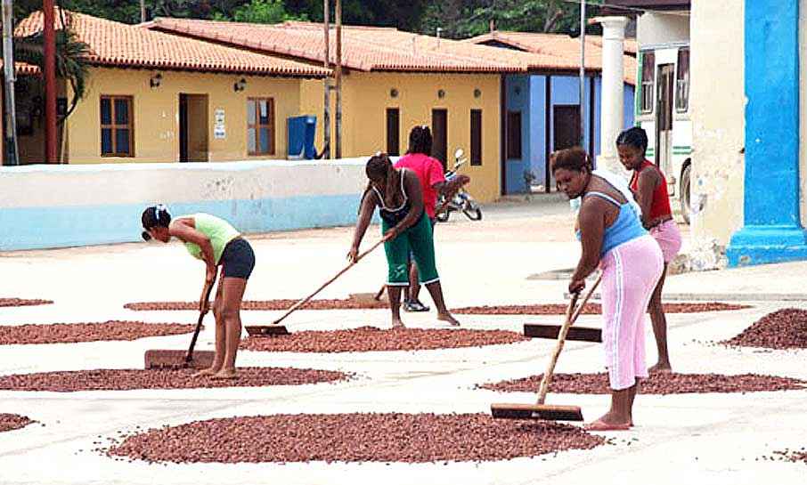 Chuao cocoa sun-drying process