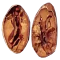 ocumare seed