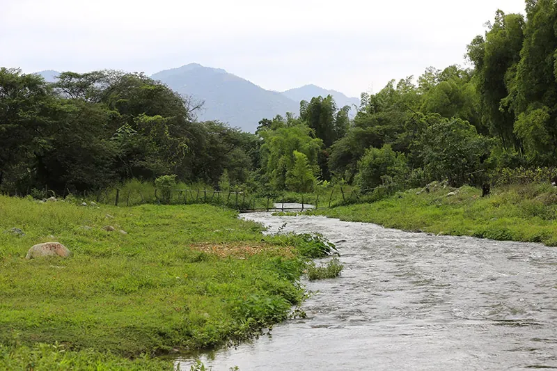 Panoramic view of Piura valley and its natural environment