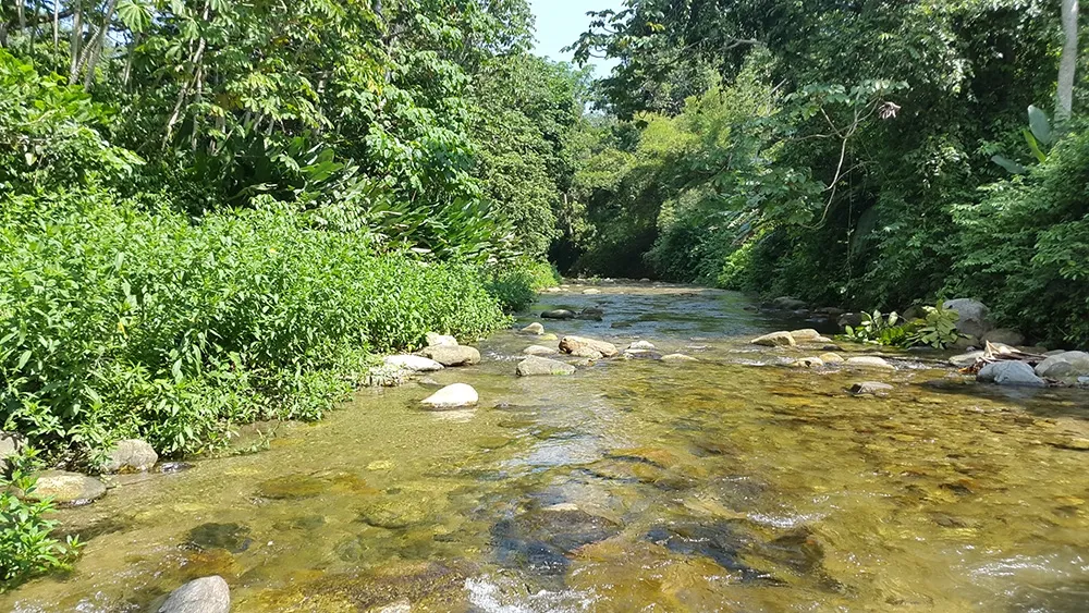 Ocumare location