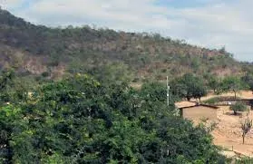 Chulucanas region landscape and oasis ecosystem