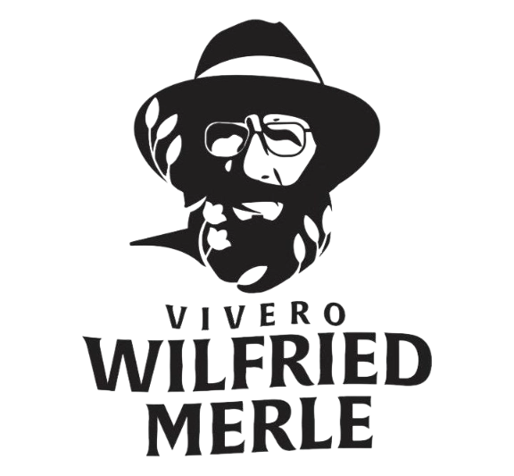 Vivero Wilfried Merle