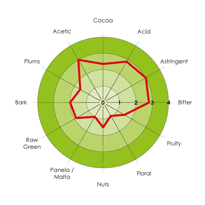 Detailed sensory map of Gran Nativo Blanco cocoa flavor profile