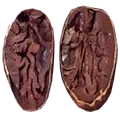 ocumare seed
